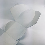 Florists Transporter Vase