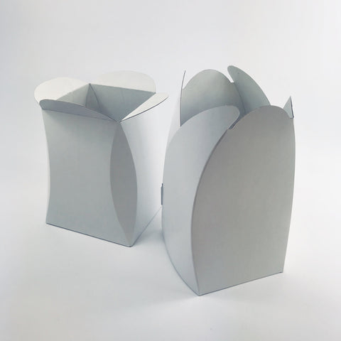 Florists Transporter Vase